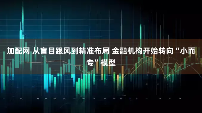 加配网 从盲目跟风到精准布局 金融机构开始转向“小而专”模型