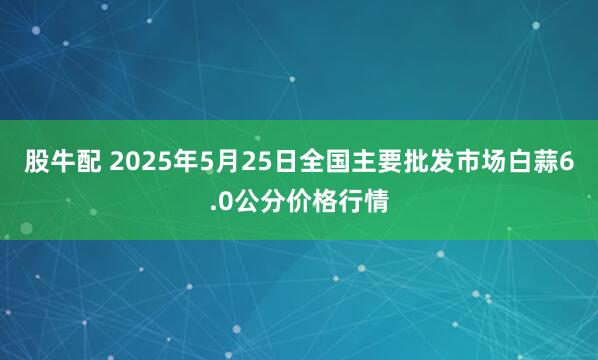 股牛配 2025年5月25日全国主要批发市场白蒜6.0公分价格行情