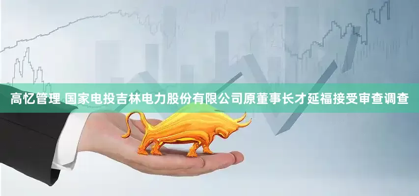 高忆管理 国家电投吉林电力股份有限公司原董事长才延福接受审查调查
