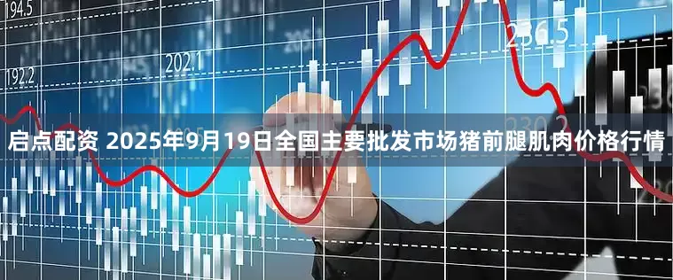 启点配资 2025年9月19日全国主要批发市场猪前腿肌肉价格行情